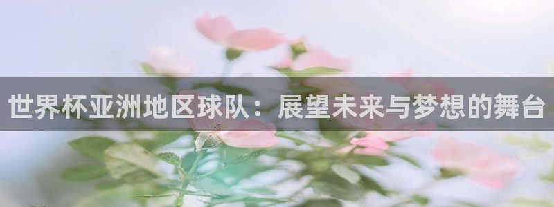 2006世界杯:世界杯亚洲地区球队:展望未来与梦想的舞台