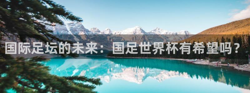 女足世界杯赛程:国际足坛的未来:国足世界杯有希望吗?
