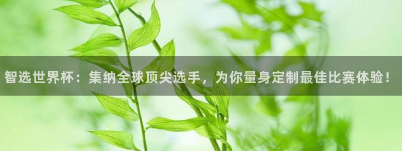 2026世界杯亚洲区预选赛:智选世界杯:集纳全球顶尖选手,为你量身定制最佳比赛体验!