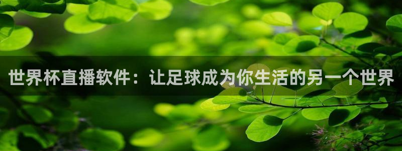 世界杯官网:世界杯直播软件:让足球成为你生活的另一个世界